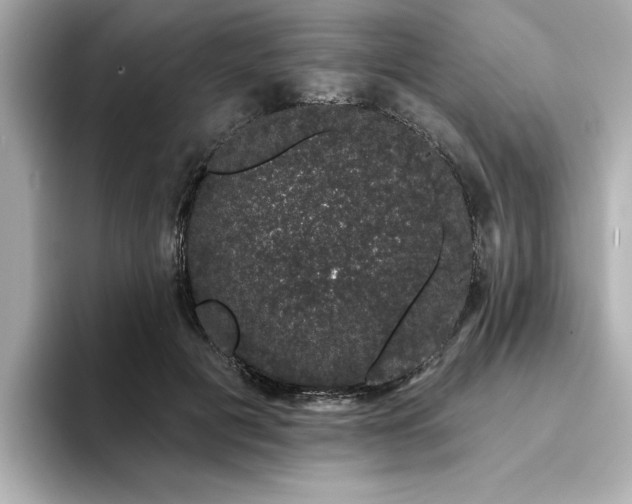 X0000095130601200712211331