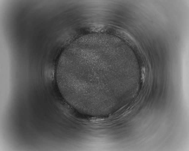 X0000095130602200712211331