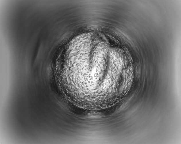 X0000095130603200712211331