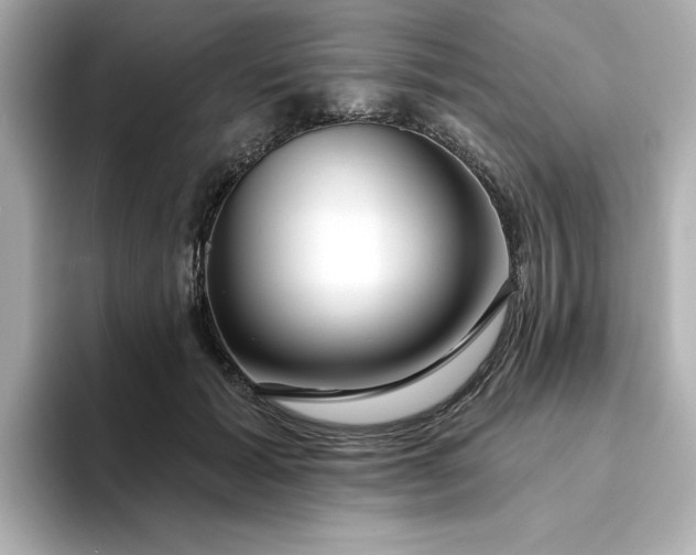 X0000095130605200712211331