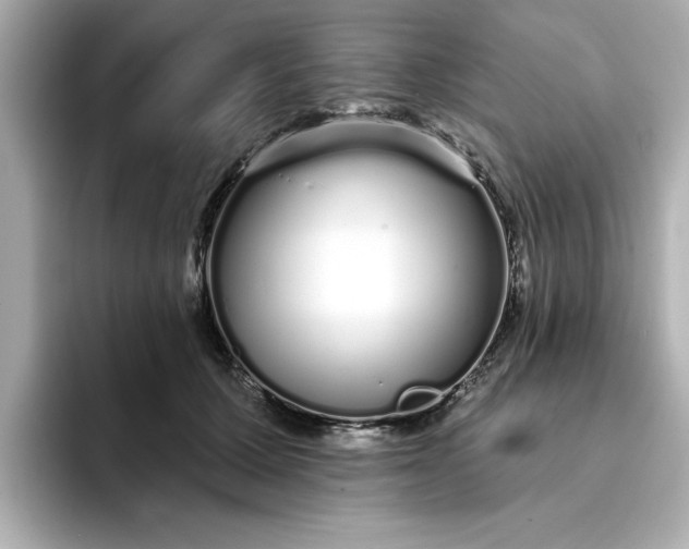 X0000095130607200712211331