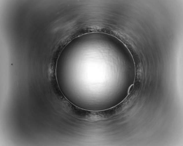 X0000095130608200712211331