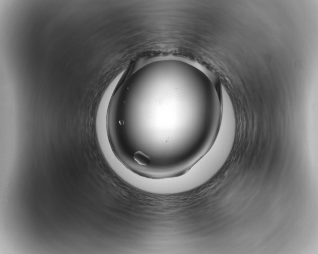 X0000095130609200712211331