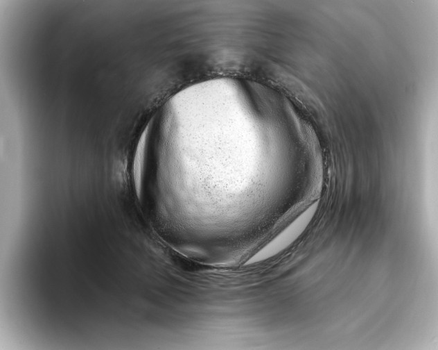 X0000095130610200712211331