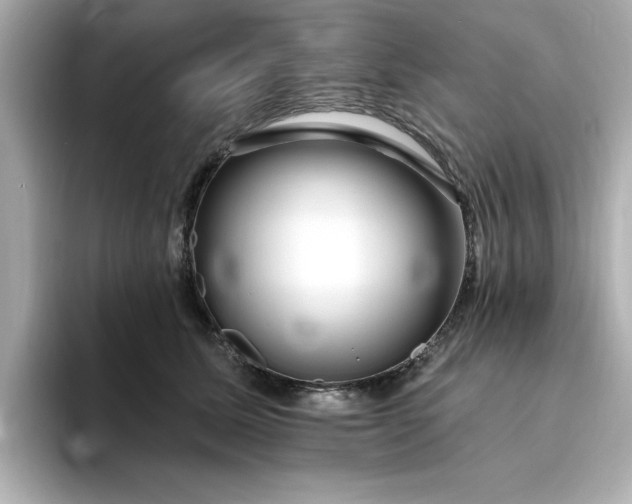 X0000095130611200712211331