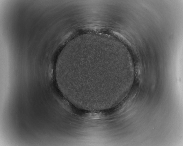 X0000095130615200712211331