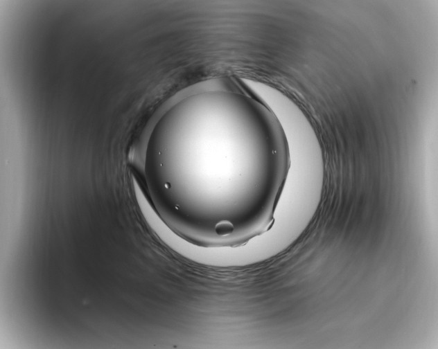 X0000095130617200712211331