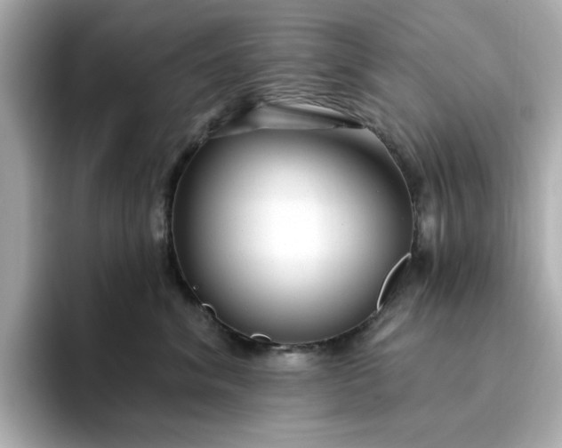 X0000095130620200712211331