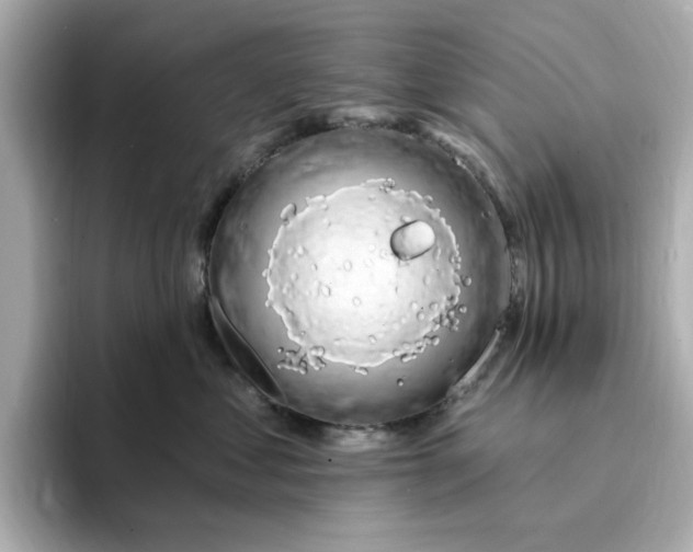 X0000095130621200712211331