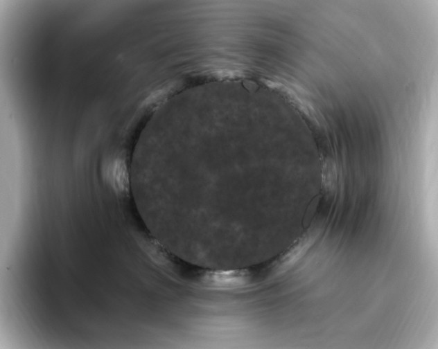 X0000095130622200712211331