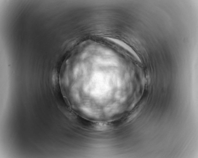 X0000095130623200712211331