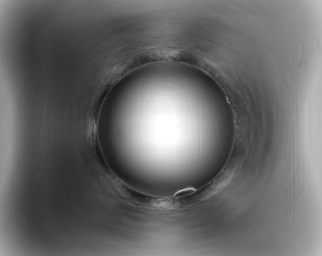 X0000095130624200712211331