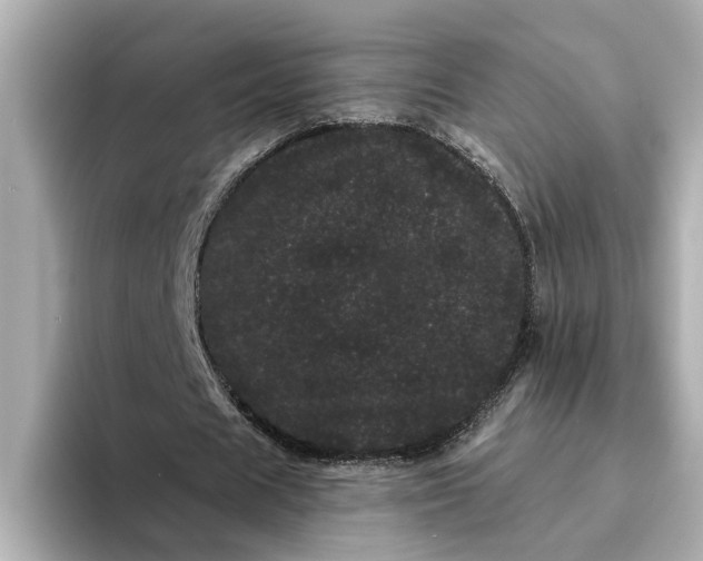 X0000095130625200712211330