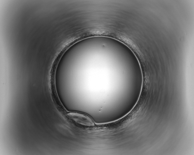 X0000095130626200712211330