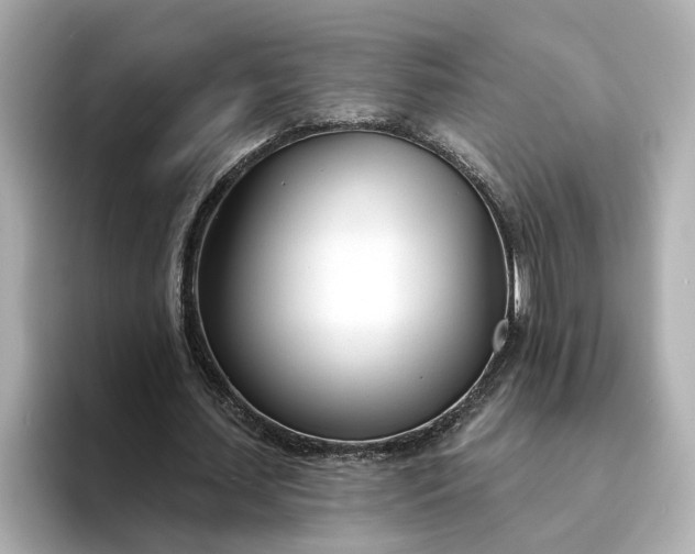 X0000095130627200712211330