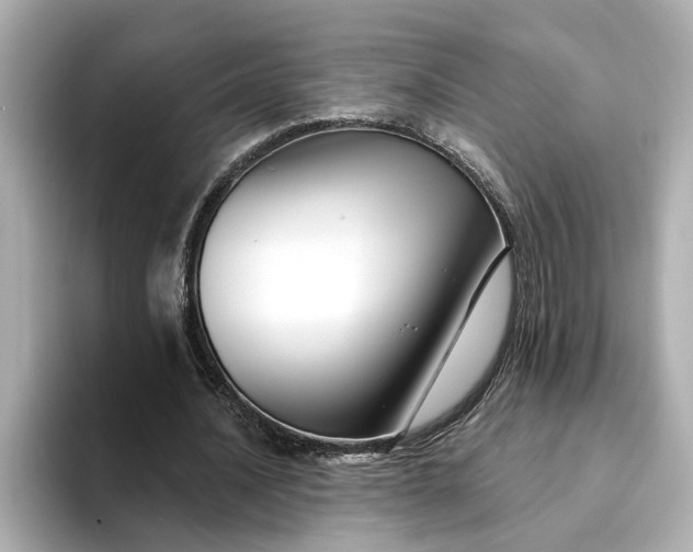 X0000095130628200712211330