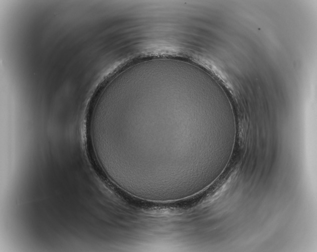 X0000095130629200712211330