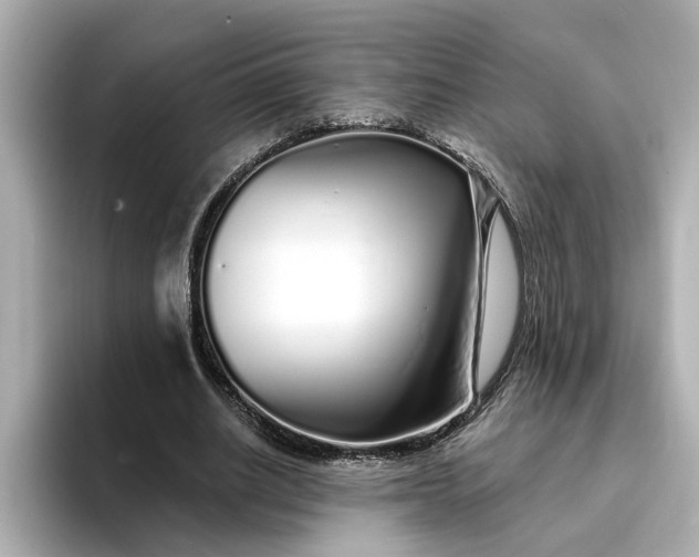 X0000095130630200712211330