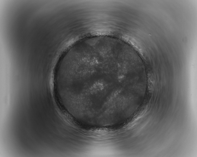 X0000095130631200712211330