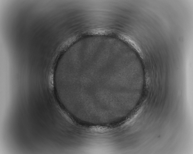 X0000095130633200712211330