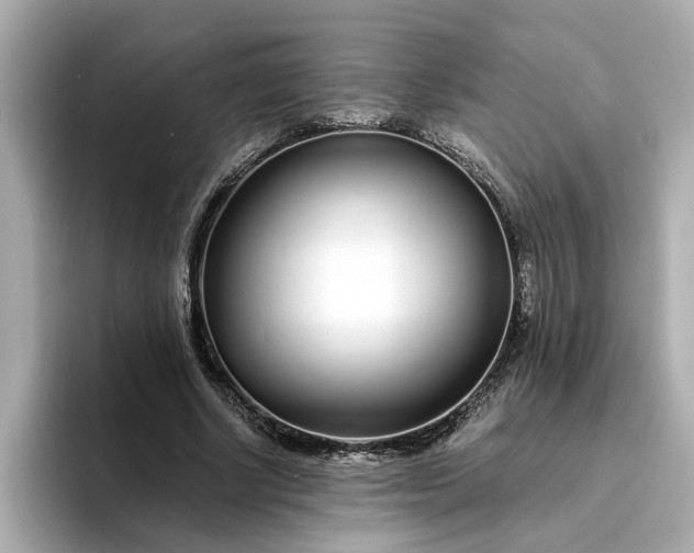 X0000095130634200712211330