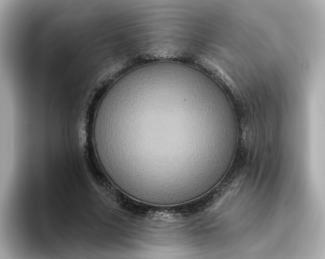 X0000095130635200712211330