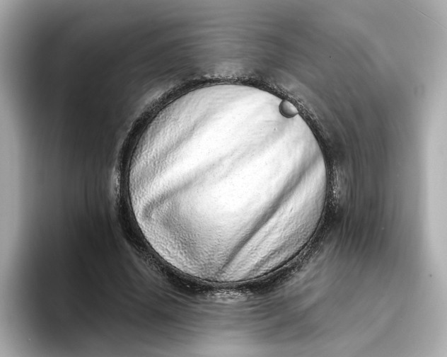 X0000095130636200712211330