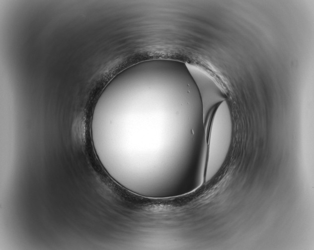 X0000095130637200712211330