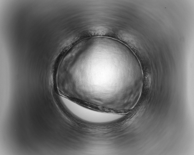 X0000095130638200712211330