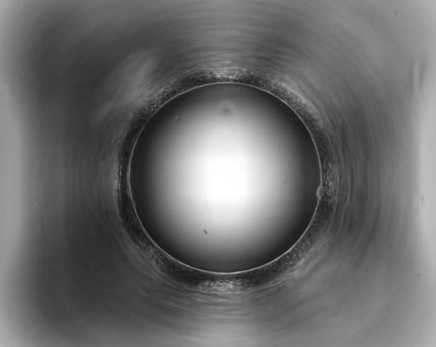 X0000095130639200712211330