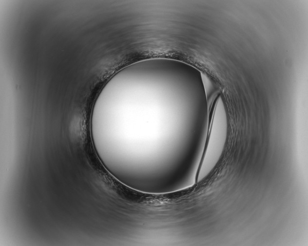 X0000095130642200712211331