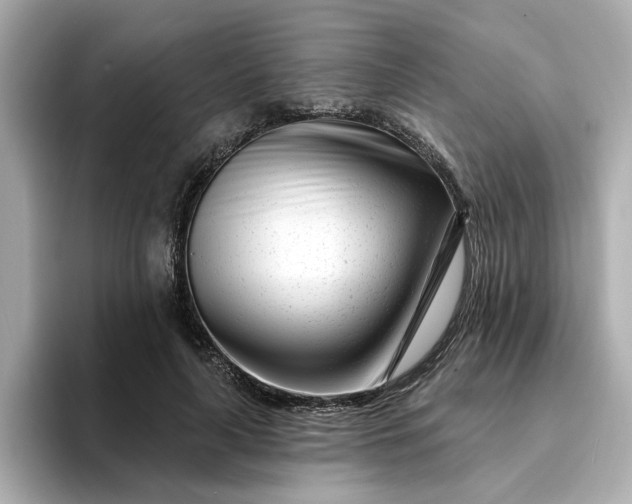 X0000095130643200712211331