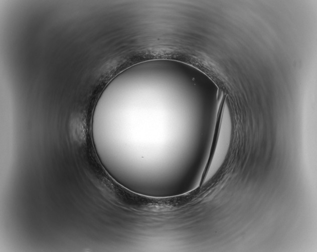 X0000095130644200712211331