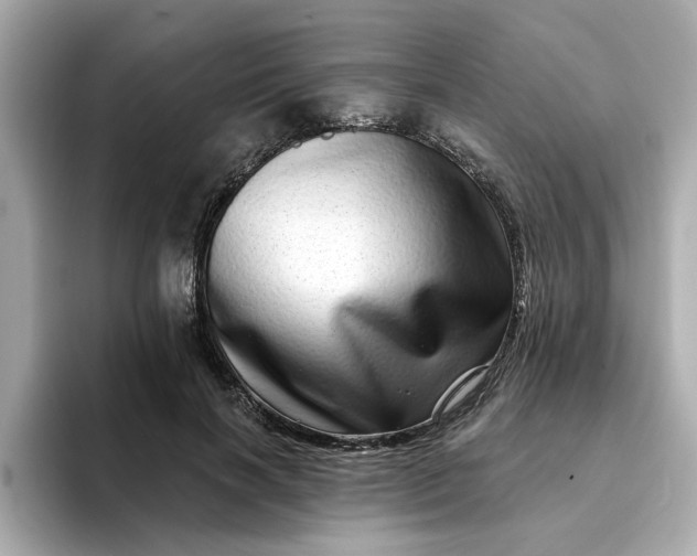 X0000095130646200712211331