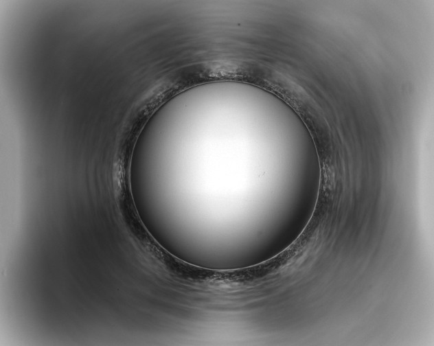 X0000095130648200712211331