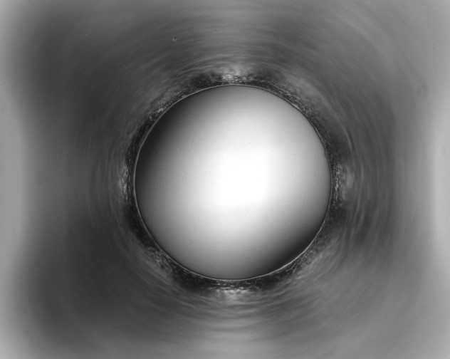 X0000095130650200712211331