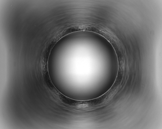 X0000095130653200712211331