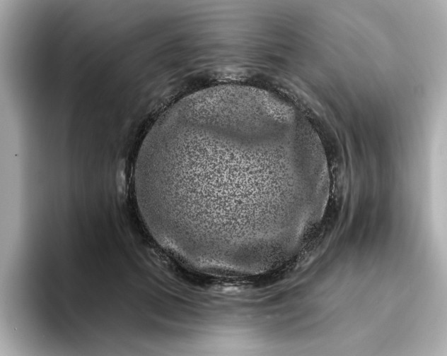 X0000095130655200712211331