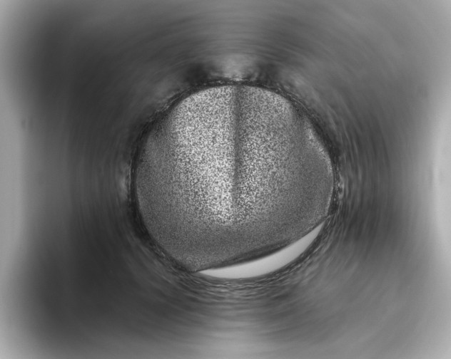 X0000095130656200712211331