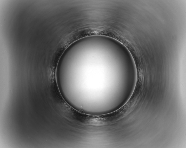 X0000095130657200712211331