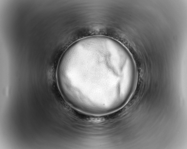 X0000095130659200712211331