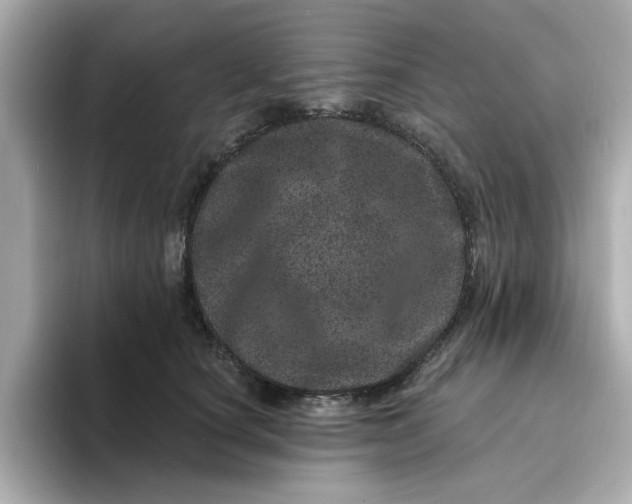 X0000095130660200712211331