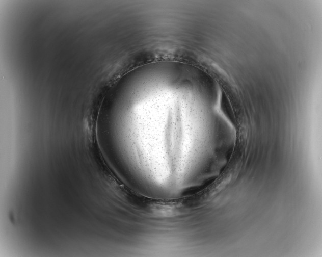 X0000095130661200712211331