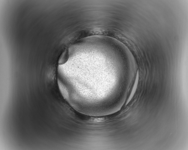 X0000095130665200712211331