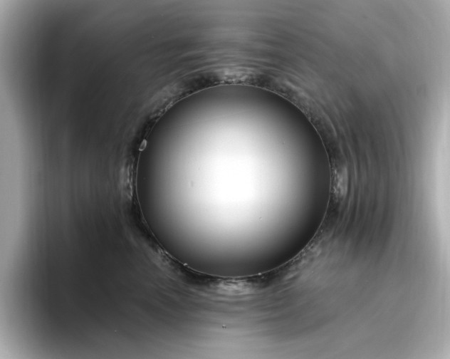 X0000095130666200712211331