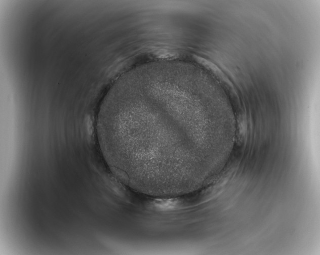 X0000095130667200712211331