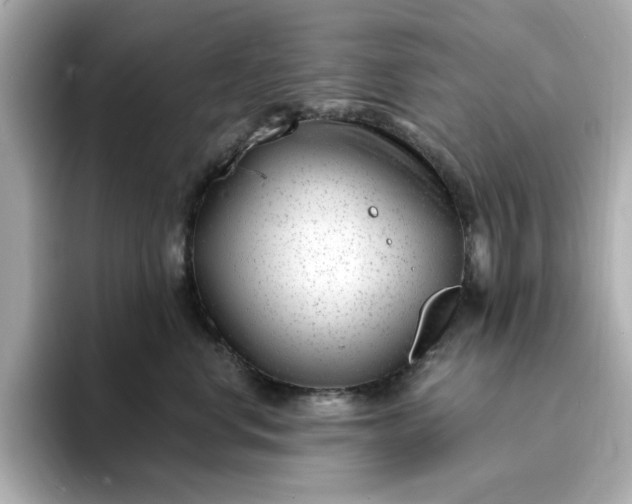 X0000095130668200712211331