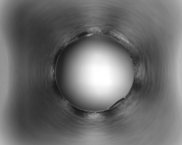 X0000095130669200712211331