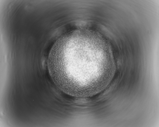 X0000095130671200712211331