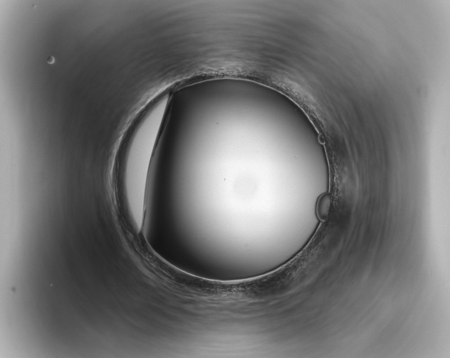 X0000095130674200712211330